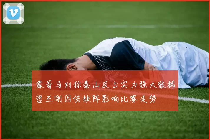 蒙哥马利称泰山反击实力强大张稀哲王刚因伤缺阵影响比赛走势